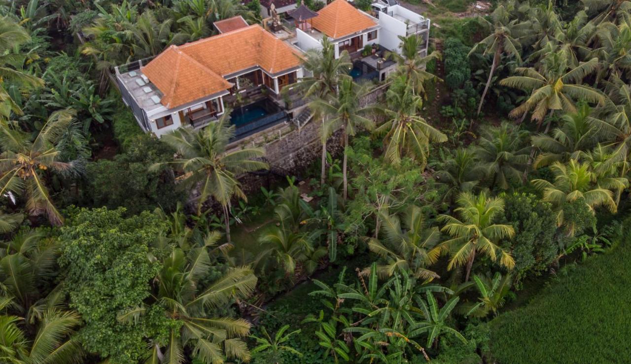 The Shea Ubud Tranquility Villa With Private Pool ภายนอก รูปภาพ