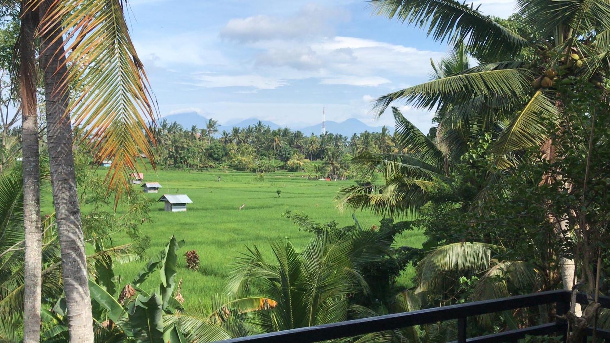 The Shea Ubud Tranquility Villa With Private Pool ภายนอก รูปภาพ